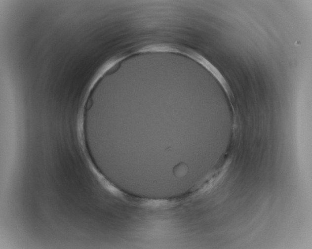 X0000111050909200907231553