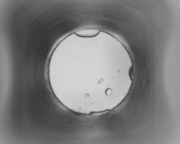 X0000111050912200907231553