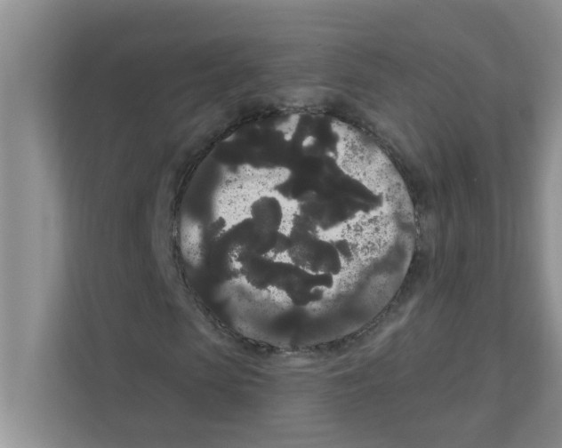 X0000111050913200907231553