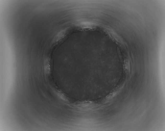 X0000111050916200907231553