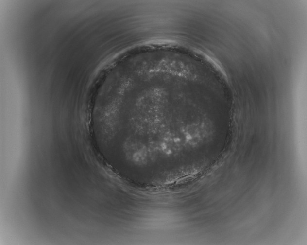 X0000111050920200907231553