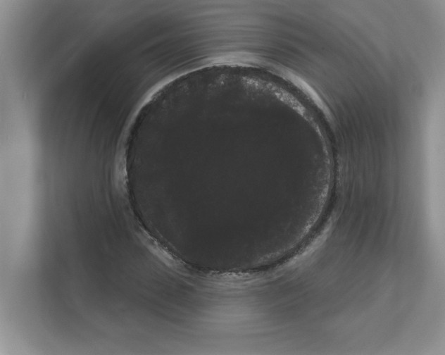 X0000111050923200907231553