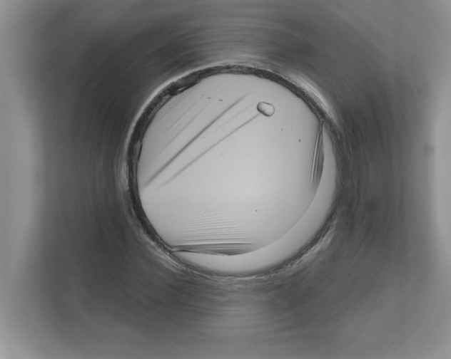 X0000111050924200907231553