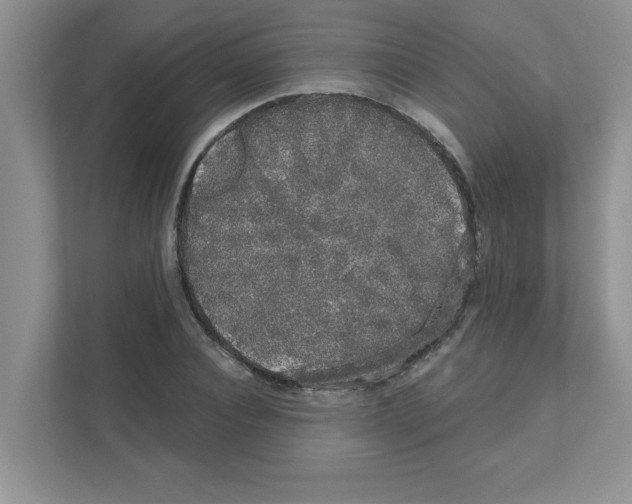 X0000111050928200907231553