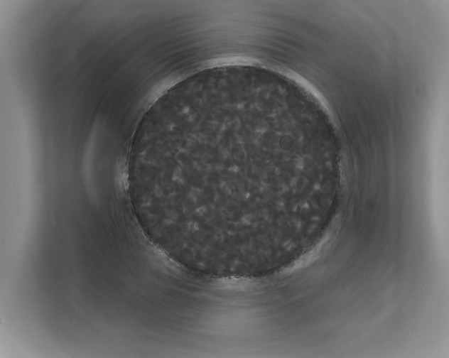 X0000111050929200907231553