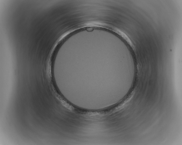 X0000111050931200907231553