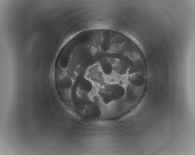 X0000111050933200907231553