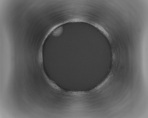 X0000111050934200907231553