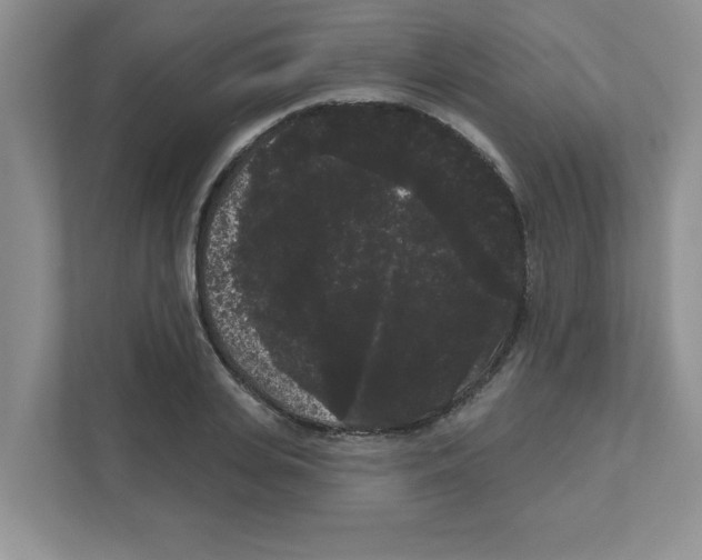 X0000111050935200907231553