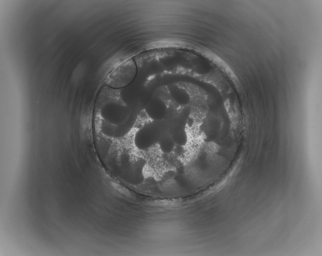 X0000111050937200907231553