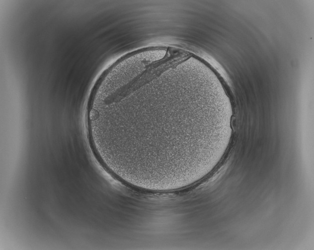 X0000111050939200907231553