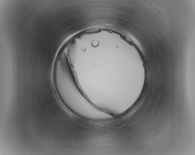 X0000111050940200907231553