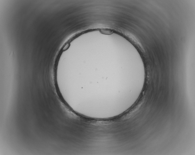 X0000111050942200907231553