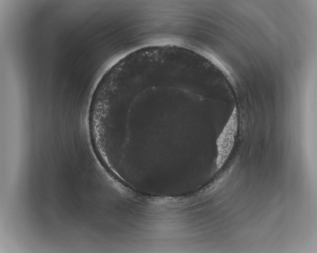 X0000111050943200907231553