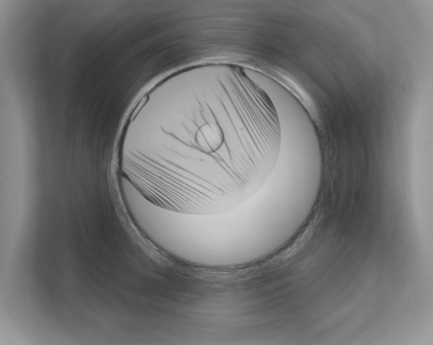 X0000111050948200907231553