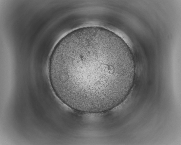 X0000111050950200907231553