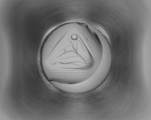 X0000111050952200907231553