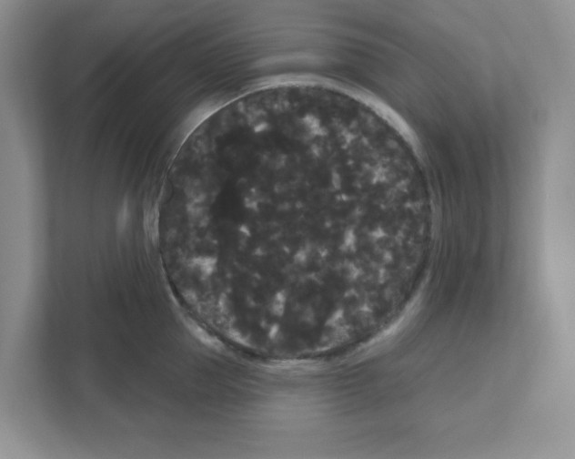 X0000111050953200907231553