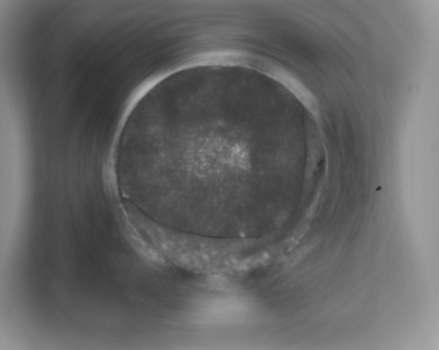 X0000111050960200907231553