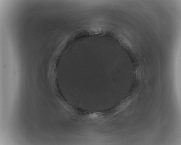 X0000111050961200907231553