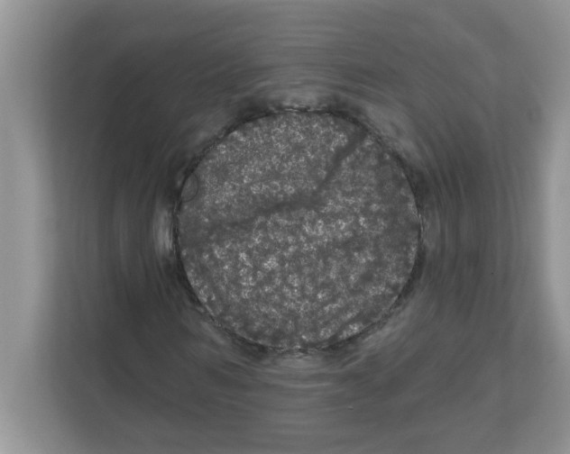 X0000111050962200907231553