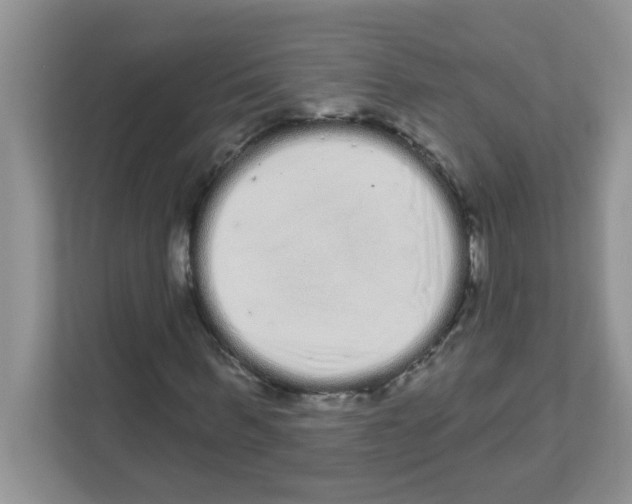 X0000111050963200907231553