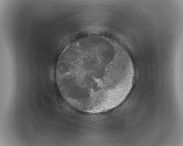 X0000111050964200907231553