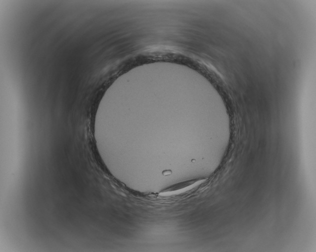 X0000111050965200907231552