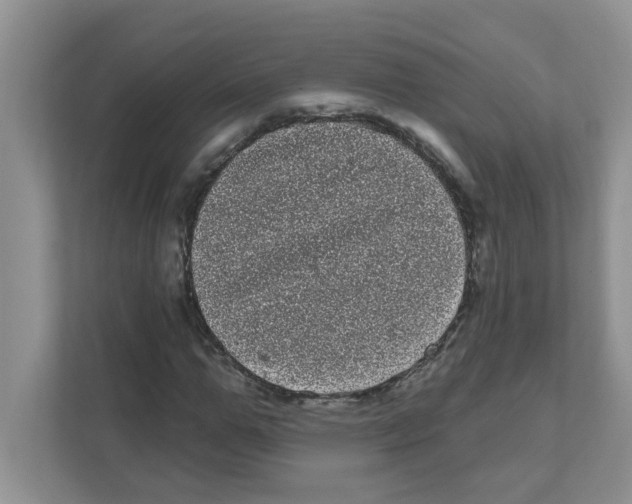 X0000111050967200907231552