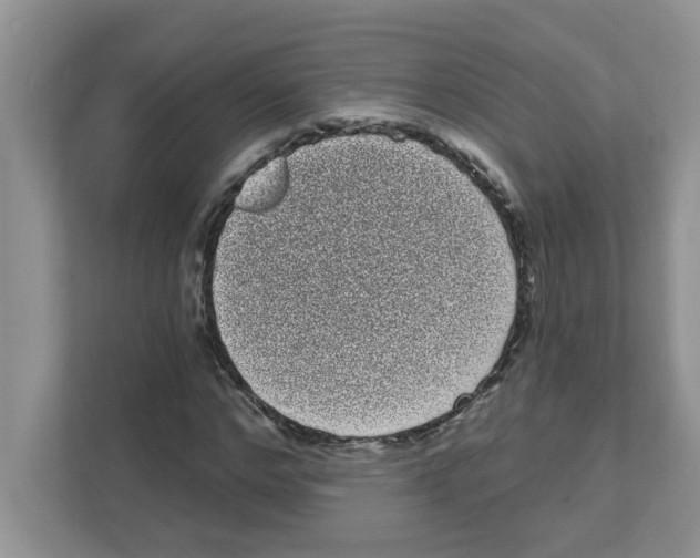 X0000111050968200907231552