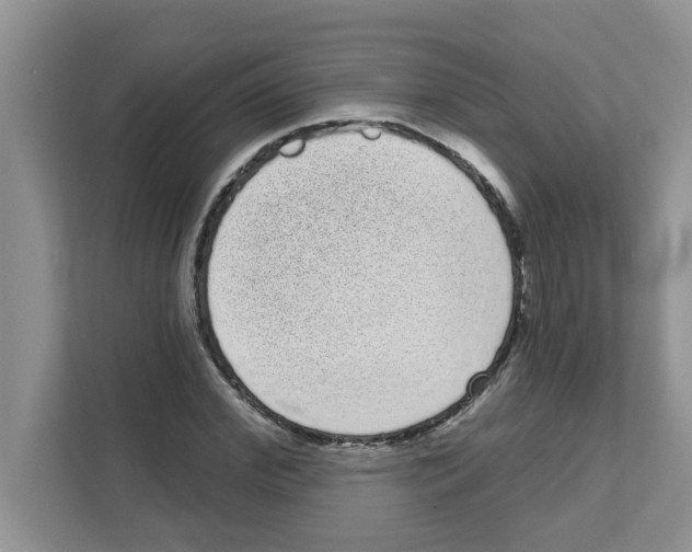 X0000111050972200907231552