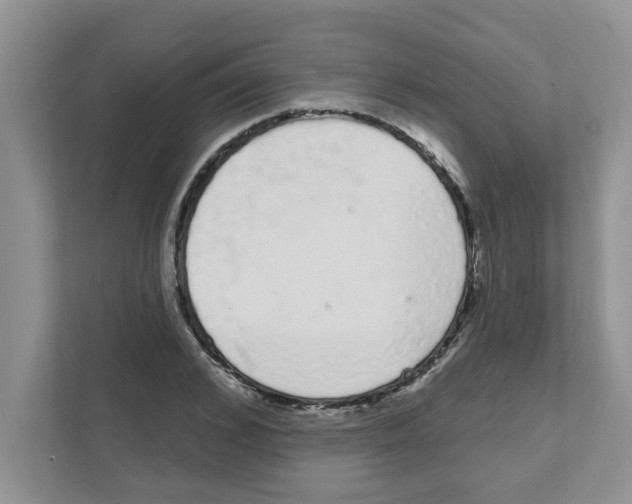 X0000111050976200907231552