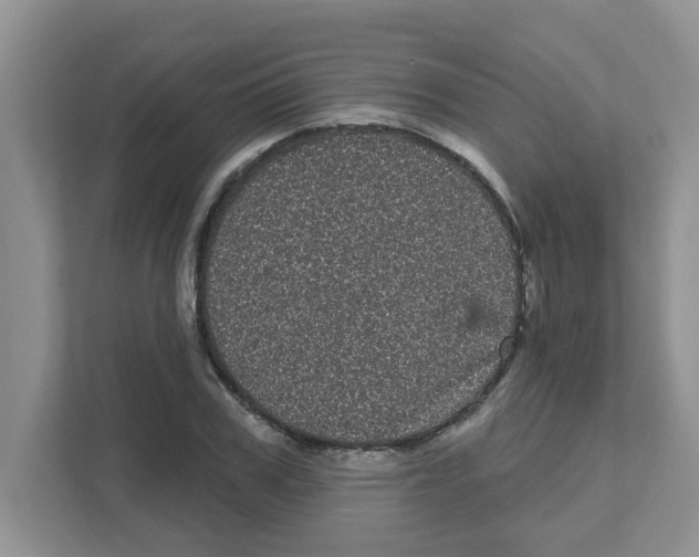 X0000111050979200907231552