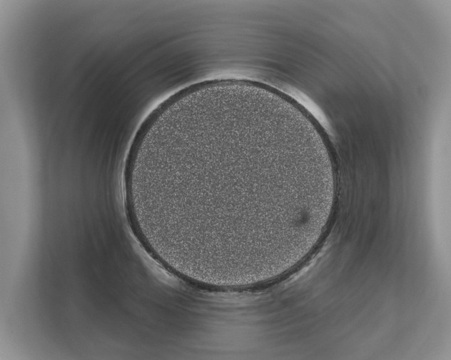 X0000111050980200907231552