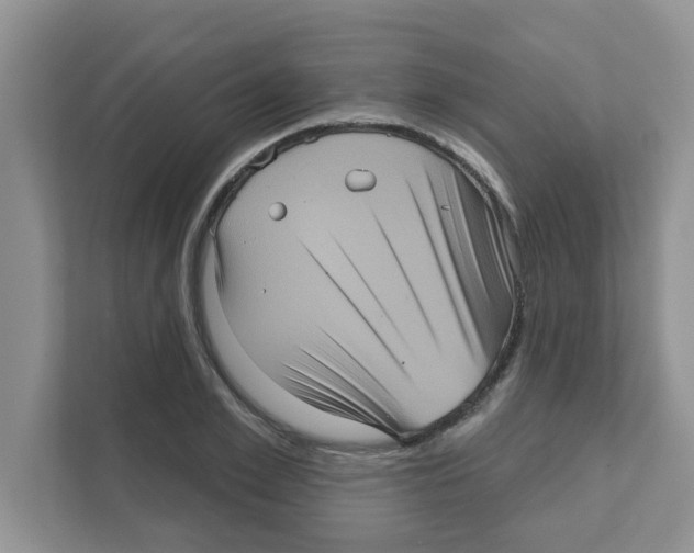 X0000111050981200907231552