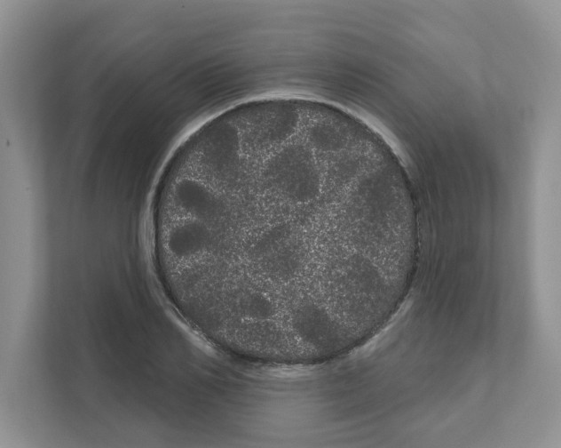 X0000111050982200907231552