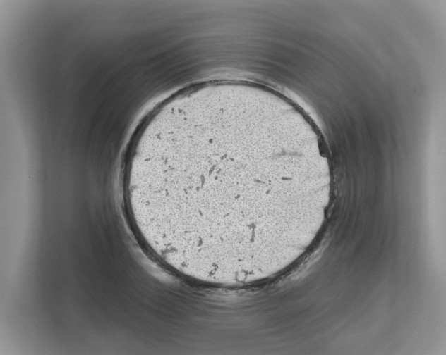 X0000111050987200907231552