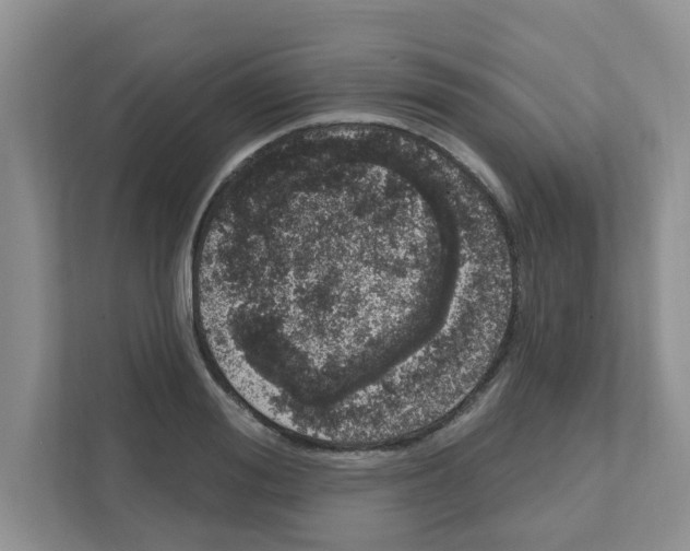 X0000111050988200907231552