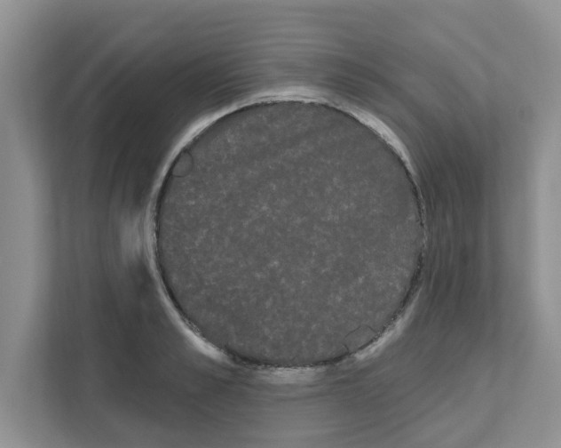 X0000111050989200907231552