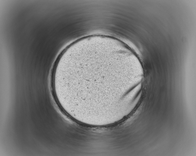 X0000111050991200907231552