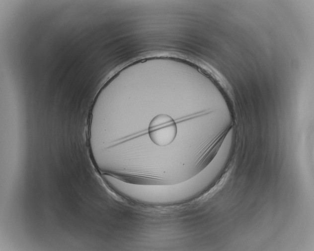 X0000111050993200907231552