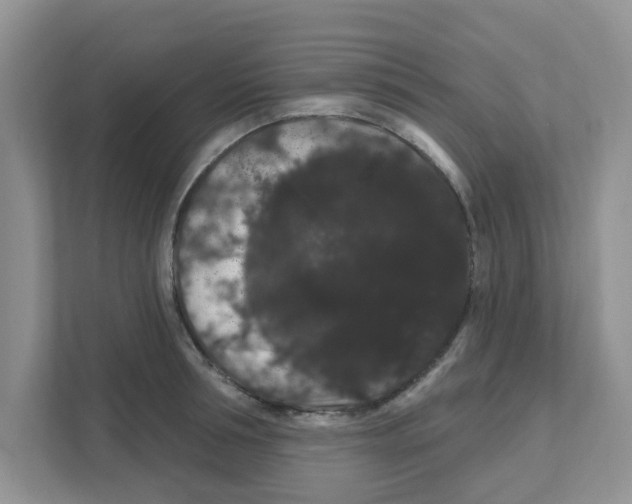 X0000111050994200907231552