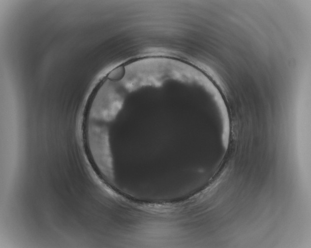 X0000111050995200907231552