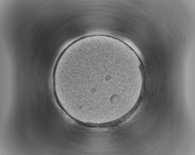 X0000111050996200907231552