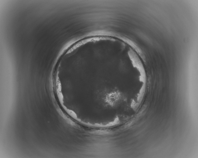 X0000111050998200907231552