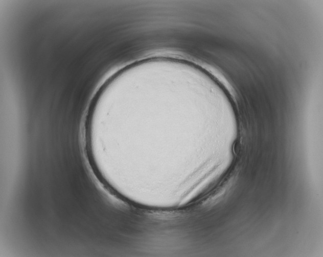 X0000111050999200907231552