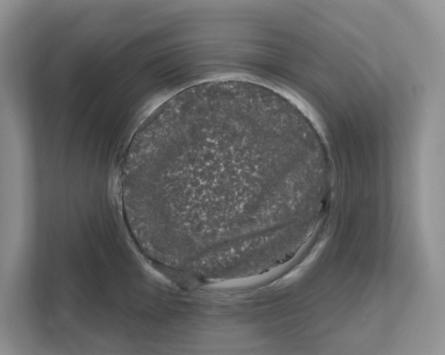 X0000111051001200907231552