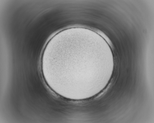 X0000111051004200907231552