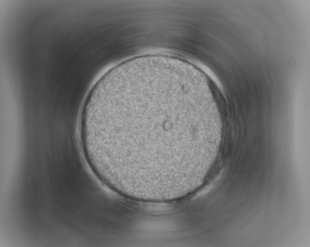 X0000111051007200907231552