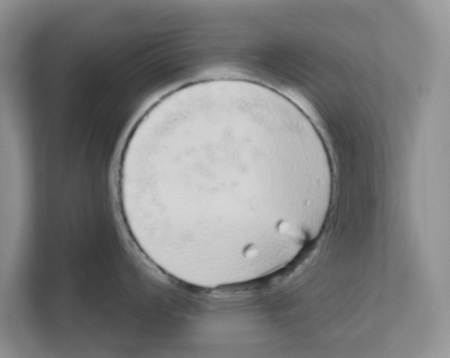 X0000111051008200907231552